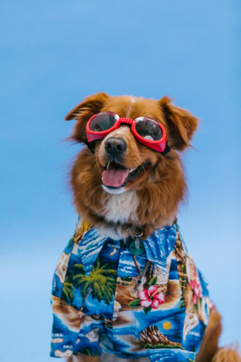 Adorable dog wearing a tropical shirt and sunglasses against a blue background.